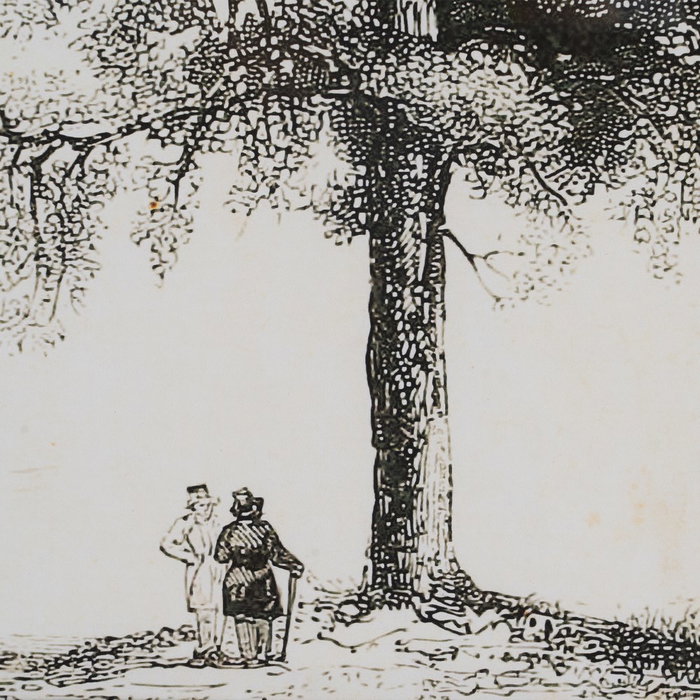 Cuadro Impresión Árbol 2/M 45 X 2,50 X 60 cm (Set de 2)