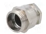 BM GROUP Sello aislante PG11 de latón IP54