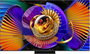 TCL 55C7L 55 pulg. SQD-MiniLED 4K GoogleTV 144Hz