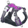 Red Dingo Arnés Acolchado M Morado Cuello 38-58cm Cuerpo 46-63cm para Perro