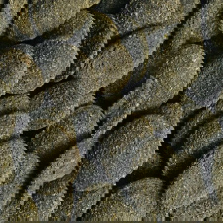 Nayeco Amtra Pro Pleco 250 mL - Chips hundibles con espirulina y corteza de roble para peces de fondo