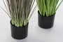 DKD Home Decor Planta de Cardo PE y PVC 40x40x150 cm Surtida