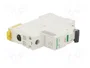 SCHNEIDER ELECTRIC Interruptor magnetotérmico iC60L 1P 32A