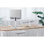 Gembird Soporte Vertical para Portátil Altura Ajustable, NBS-D1-02, Plateado
