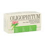 HOLISTICA Oligophytum Multi-Oligo 100g