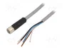 MURRELEKTRONIK Cable para sensores M12 hembra recto 5 pines 3m