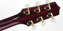 Takamine JJ325SRC Dreadnought Cutaway