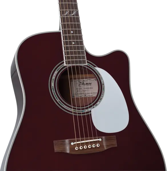 Takamine JJ325SRC Dreadnought Cutaway Takamine JJ325SRC Dreadnought Cutaway