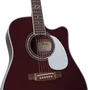 Takamine JJ325SRC Dreadnought Cutaway