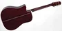 Takamine JJ325SRC Dreadnought Cutaway