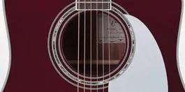 Takamine JJ325SRC Dreadnought Cutaway