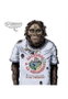 Astisendo Grupo Editorial, S.L. La Gran Aventura Humana