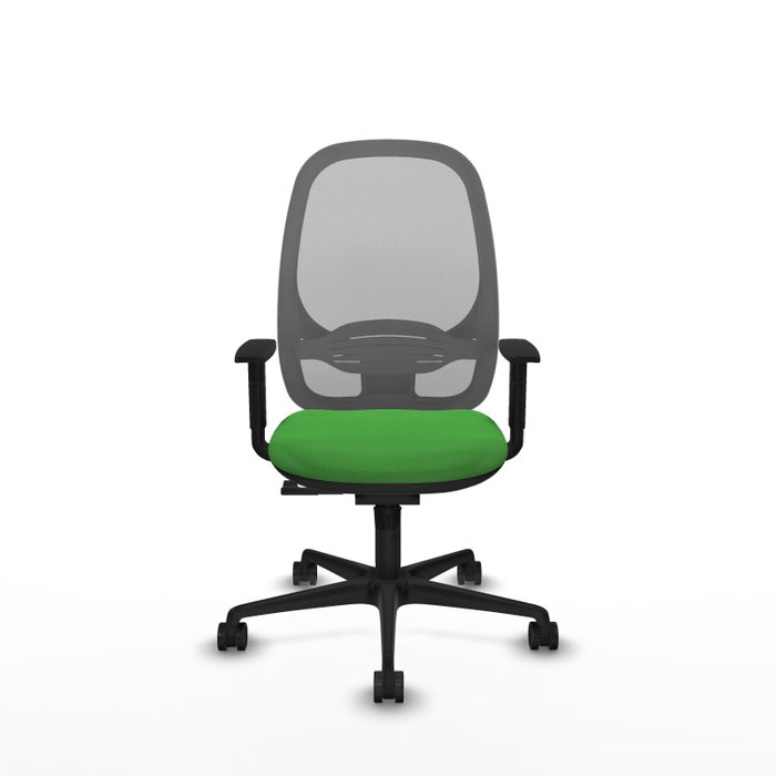 PIQUERAS Y CRESPO Silla de oficina Cilanco con mecanismo Sincro, Verde y Gris PIQUERAS Y CRESPO Silla de oficina Cilanco con mecanismo Sincro, Verde y Gris