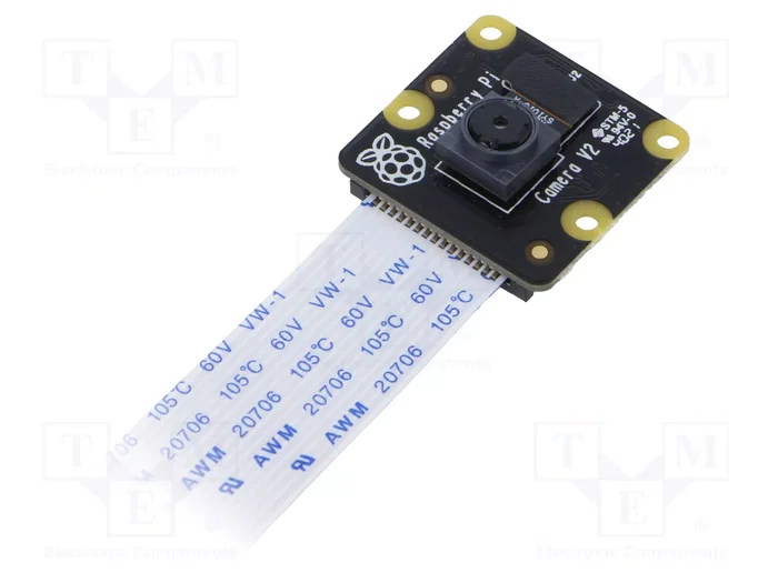 RASPBERRY PI Raspberry Pi Camera V2 Noir