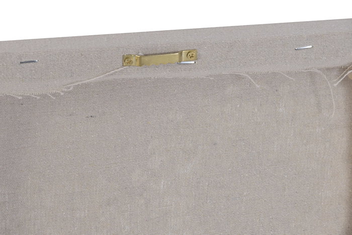 DKD Home Decor Cuadro Lienzo MDF 30x2,5x60 Flores Surtido de 2