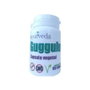 AYURVEDA AUTENTICO Guggulu 60 Cápsulas