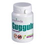 AYURVEDA AUTENTICO Guggulu 60 cápsulas