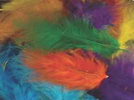 Plumas Collage Niefenver Bolsa 120 Ud (10 Colores Surtidos)