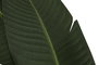 DKD Home Decor Planta Ave del Paraíso Verde 80x80x205 cm