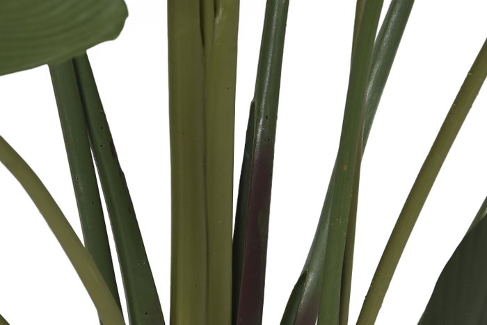 DKD Home Decor Planta Ave del Paraíso Verde 80x80x205 cm DKD Home Decor Planta Ave del Paraíso Verde 80x80x205 cm