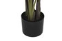 DKD Home Decor Planta Ave del Paraíso Verde 80x80x205 cm