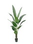 DKD Home Decor Planta Ave del Paraíso Verde 80x80x205 cm
