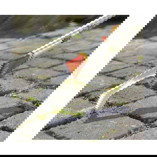 WOLF-Garten FK-M - Glass