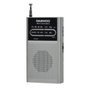 Daewoo DW1027SL Radio Portátil AM/FM Plata