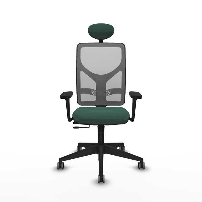 PIQUERAS Y CRESPO Silla de oficina Motilla con mecanismo Sincro/Traslack, Verde botella y Gris PIQUERAS Y CRESPO Silla de oficina Motilla con mecanismo Sincro/Traslack, Verde botella y Gris