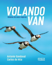 Volando van, Antonio Juan Sandoval Rey - ANAYA