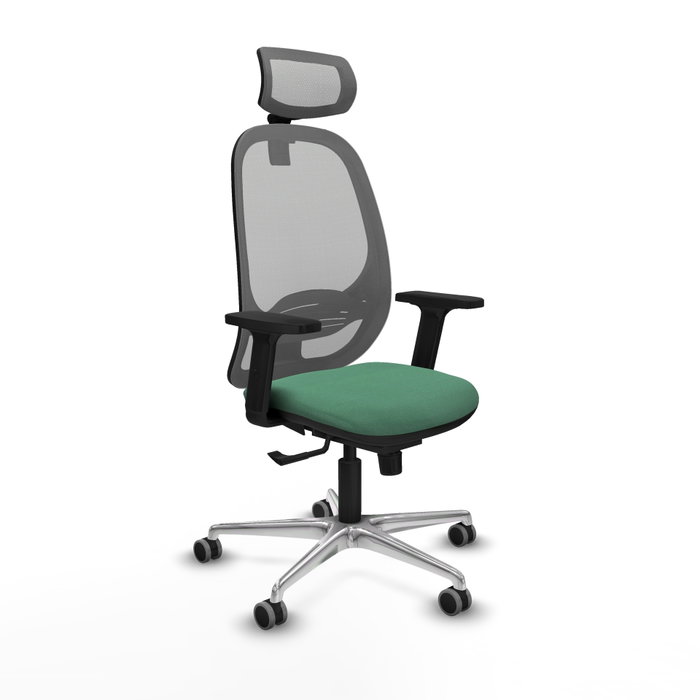 PIQUERAS Y CRESPO Silla de oficina Cilanco con mecanismo Sincro Verde esmeralda y Gris PIQUERAS Y CRESPO Silla de oficina Cilanco con mecanismo Sincro Verde esmeralda y Gris