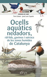 COSSETANIA EDICIONS, Ocells aquàtics nedadors, ràl·lids, gavines i xatracs de les zones humides de Catalunya