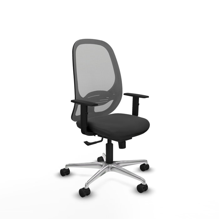 PIQUERAS Y CRESPO Silla de oficina Cilanco con mecanismo Sincro, Gris PIQUERAS Y CRESPO Silla de oficina Cilanco con mecanismo Sincro, Gris