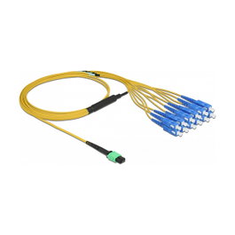 DeLOCK Cable de fibra óptica MPO hembra a 12 x SC simplex macho monomodo 2 m