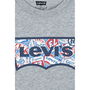 Camiseta de Manga Corta Infantil Levi's Lvb On The Road Batwing Gris claro XL