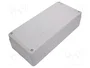 ELEKTRO-PLAST NASIELSK Carcasa Industrial Universal Gris IP65 IK07