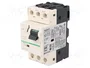 SCHNEIDER ELECTRIC Interruptor motorizado GV2RT08 1,1/1,5kW 230÷690VAC