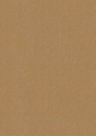 Bolsa De Papel Tv Kraft 14X9X36 Cm Kraft Marron Anonimo Paquete De 25