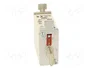 ETI POLAM Fusible NH00C de cartucho 25A 400VAC