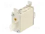 ETI POLAM Fusible NH00C de cartucho 25A 400VAC