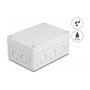 DeLOCK Carcasa de instalación con entradas de cable 130 x 93 x 57 mm gris