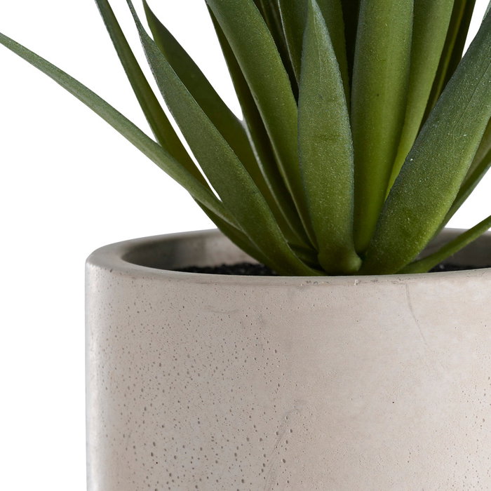 Day Planta Artificial 18cm Altura x 7.5cm Diámetro en Maceta de Cemento 9cm Day Planta Artificial 18cm Altura x 7.5cm Diámetro en Maceta de Cemento 9cm