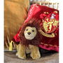 The Noble Collection Peluche Godric Gryffindor de Harry Potter con Cojín, Escudo Bordado, 20 cm