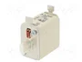 ETI POLAM Fusible de cartucho NH00 25A 500VAC