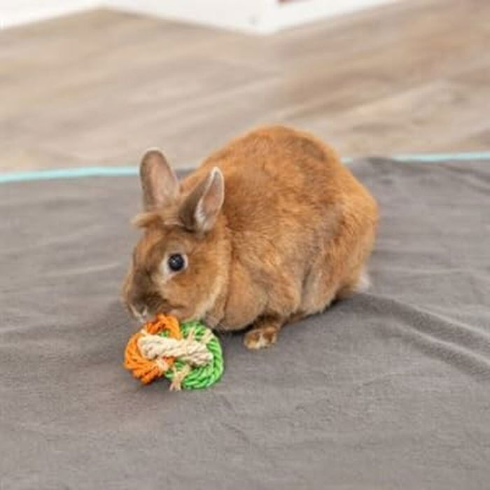 Mordedor de perro Trixie Ø 6 × 15 CM Mordedor de perro Trixie Ø 6 × 15 CM