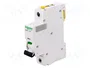SCHNEIDER ELECTRIC Interruptor magnetotérmico ACTI9 iC60N 4A 1P Característica C