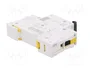SCHNEIDER ELECTRIC Interruptor magnetotérmico ACTI9 iC60N 4A 1P Característica C