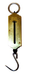 LAMS Peso de Gancho (Dinamómetros) de 25,0 kg 813 (3060007) lifter weight