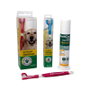 Stangest Kit Dental Dentican con Cepillo y Pasta
