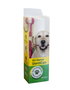 Stangest Kit Dental Dentican con Cepillo y Pasta